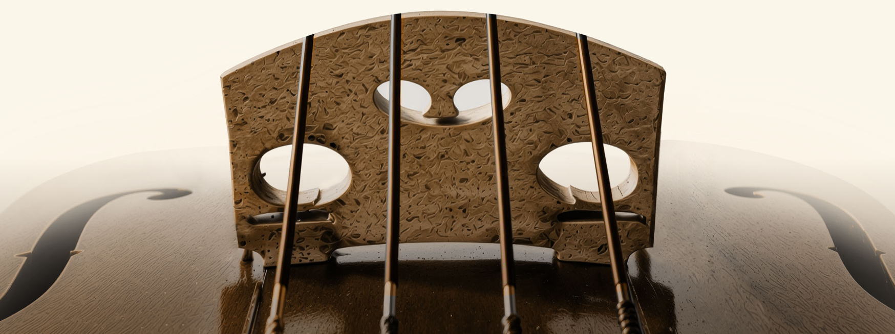 Detalle del puente y las cuerdas de un violín